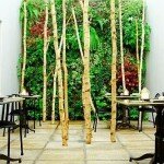 Applied Green Plants in Home Interior Applied Green Plants in Home Interior 4 150x150 Benefits of Using Green Plants in Home Interior