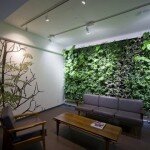 Applied Green Plants in Home Interior Applied Green Plants in Home Interior 6 150x150 Benefits of Using Green Plants in Home Interior