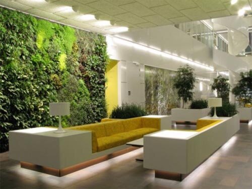 Applied Green Plants in Home Interior Benefits of Using Green Plants in Home Interior